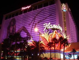 Flamingo hotel